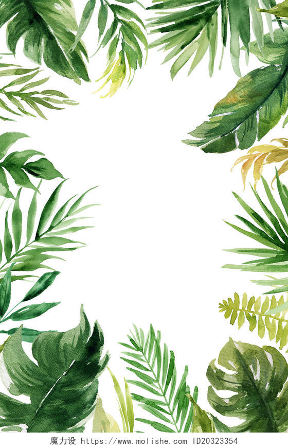热带植物矢量树叶夏天边框春天手绘绿色树叶边框装饰素材